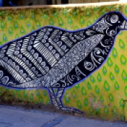 Beautiful Bird street art